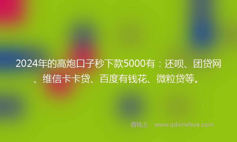2024年的高炮口子秒下款5000有：还呗、团贷网、维信卡卡贷、百度有钱花、微粒贷等。