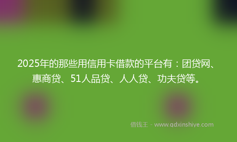 2025年的那些用信用卡借款的平台有：团贷网、惠商贷、51人品贷、人人贷、功夫贷等。