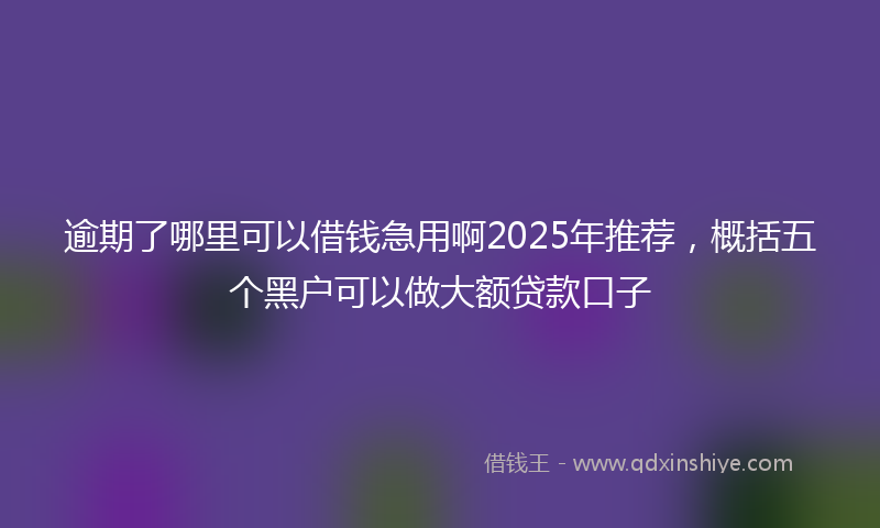 逾期了哪里可以借钱急用啊2025年推荐，概括五个黑户可以做大额贷款口子