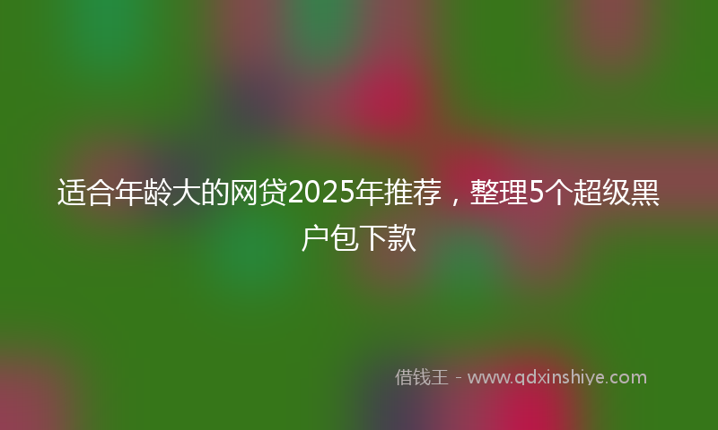 适合年龄大的网贷2025年推荐，整理5个超级黑户包下款