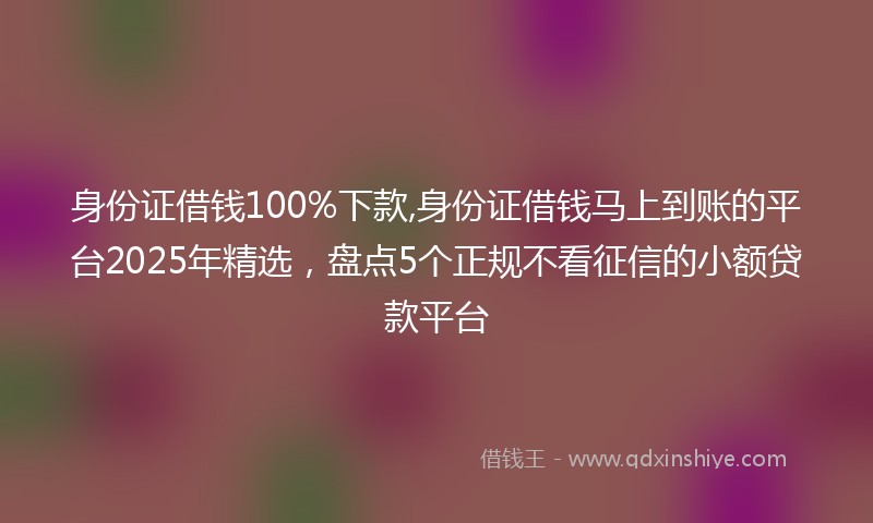 身份证借钱100%下款,身份证借钱马上到账的平台2025年精选，盘点5个正规不看征信的小额贷款平台