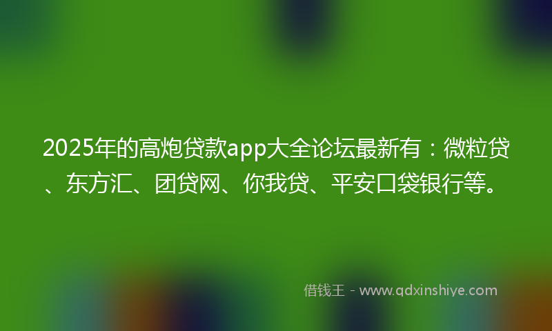 2025年的高炮贷款app大全论坛最新有：微粒贷、东方汇、团贷网、你我贷、平安口袋银行等。