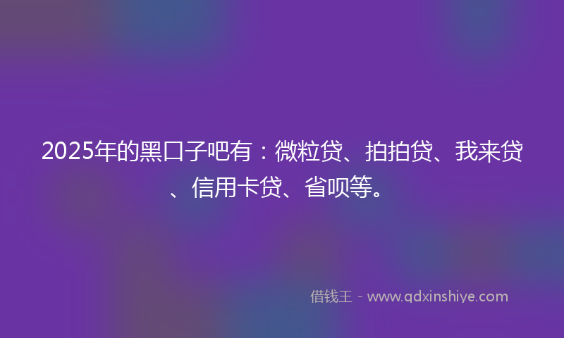 2025年的黑口子吧有：微粒贷、拍拍贷、我来贷、信用卡贷、省呗等。