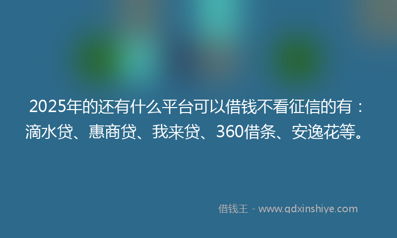 2025年的还有什么平台可以借钱不看征信的有：滴水贷、惠商贷、我来贷、360借条、安逸花等。