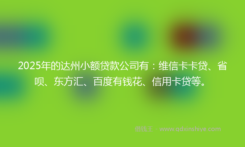 2025年的达州小额贷款公司有：维信卡卡贷、省呗、东方汇、百度有钱花、信用卡贷等。