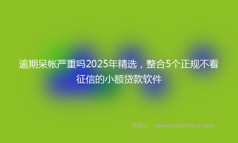 逾期呆帐严重吗2025年精选，整合5个正规不看征信的小额贷款软件