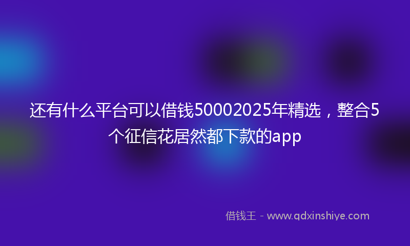 还有什么平台可以借钱50002025年精选，整合5个征信花居然都下款的app