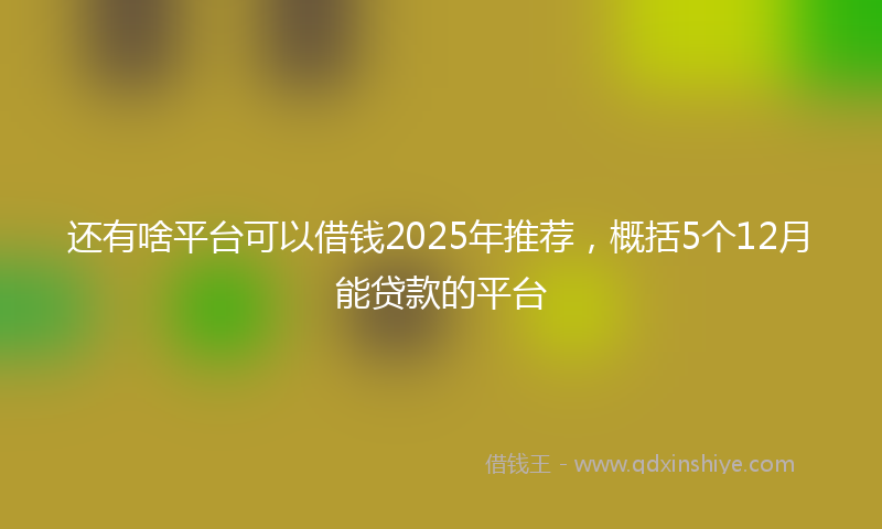 还有啥平台可以借钱2025年推荐，概括5个12月能贷款的平台
