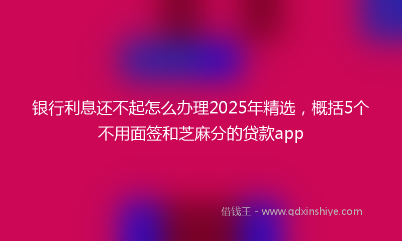 银行利息还不起怎么办理2025年精选，概括5个不用面签和芝麻分的贷款app