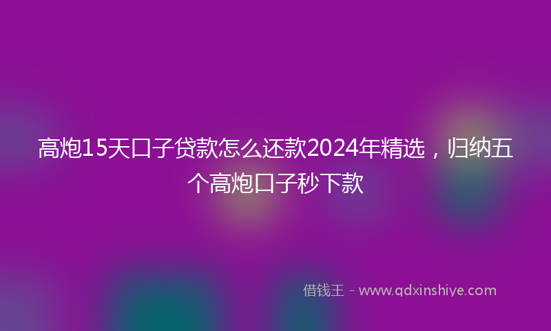 高炮15天口子贷款怎么还款2024年精选，归纳五个高炮口子秒下款