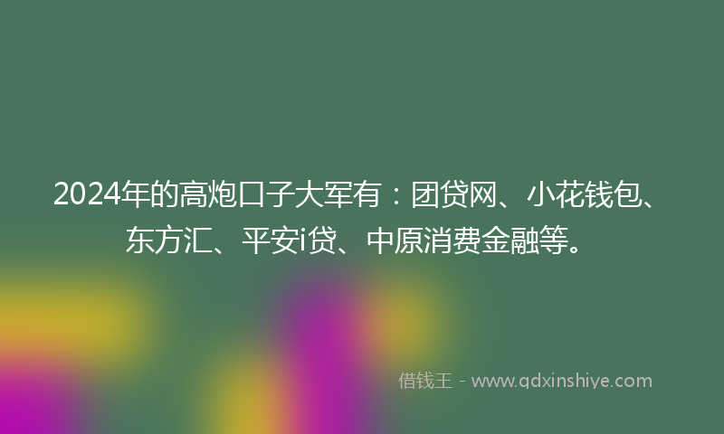 2024年的高炮口子大军有：团贷网、小花钱包、东方汇、平安i贷、中原消费金融等。