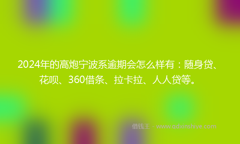2024年的高炮宁波系逾期会怎么样有：随身贷、花呗、360借条、拉卡拉、人人贷等。