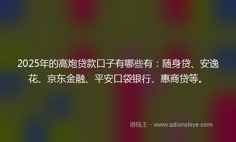 2025年的高炮贷款口子有哪些有：随身贷、安逸花、京东金融、平安口袋银行、惠商贷等。