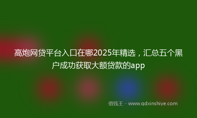 高炮网贷平台入口在哪2025年精选，汇总五个黑户成功获取大额贷款的app
