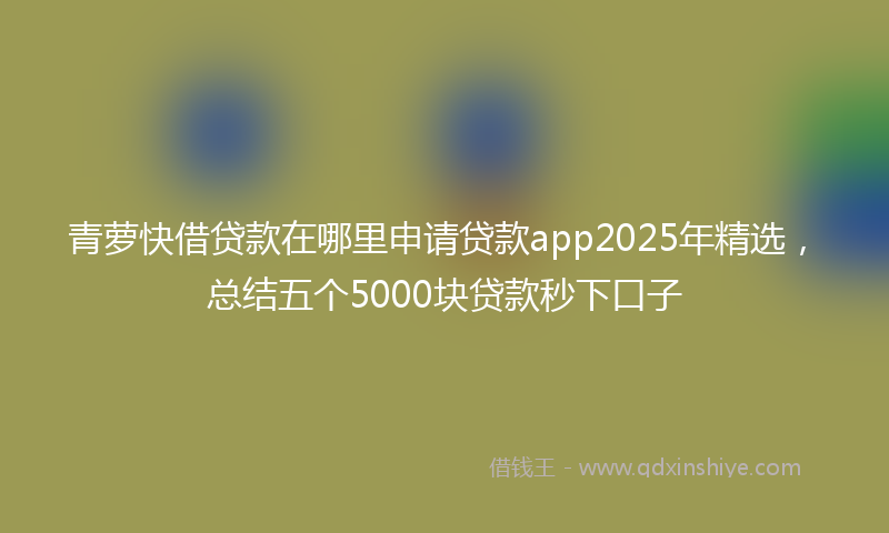 青萝快借贷款在哪里申请贷款app2025年精选，总结五个5000块贷款秒下口子