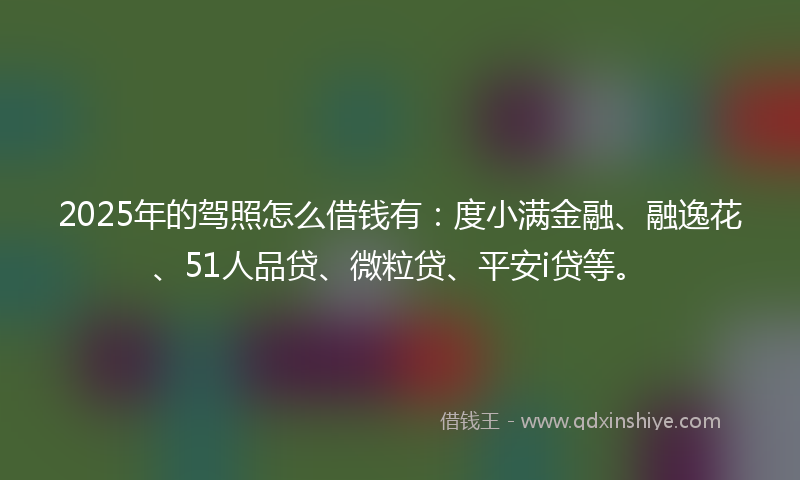 2025年的驾照怎么借钱有：度小满金融、融逸花、51人品贷、微粒贷、平安i贷等。