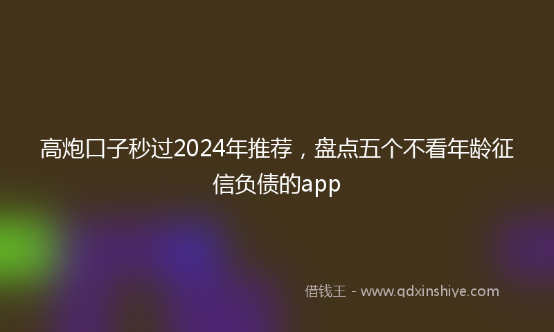 高炮口子秒过2024年推荐，盘点五个不看年龄征信负债的app
