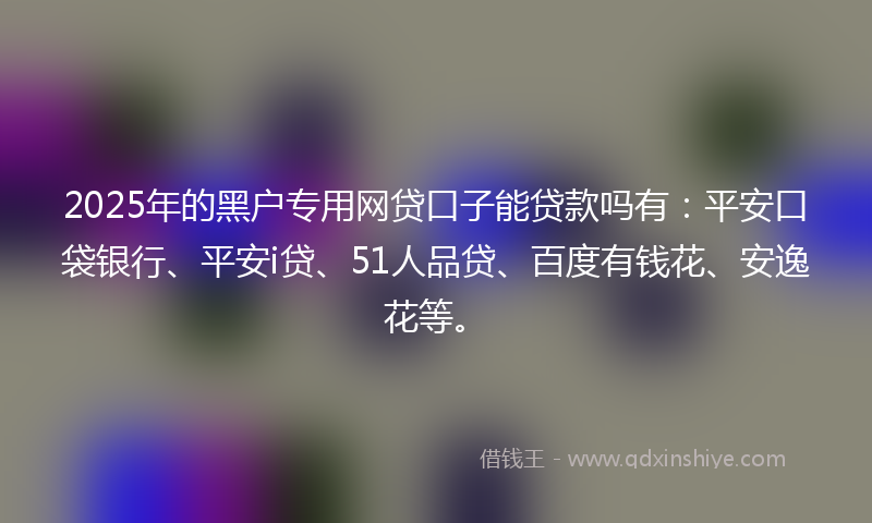 2025年的黑户专用网贷口子能贷款吗有：平安口袋银行、平安i贷、51人品贷、百度有钱花、安逸花等。