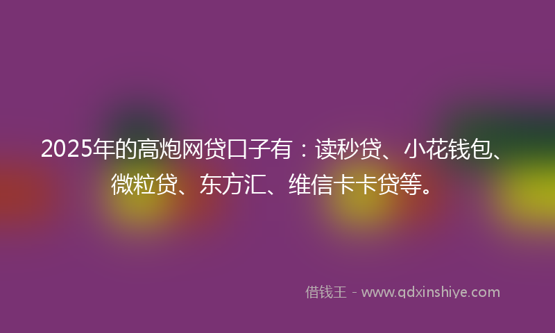 2025年的高炮网贷口子有：读秒贷、小花钱包、微粒贷、东方汇、维信卡卡贷等。