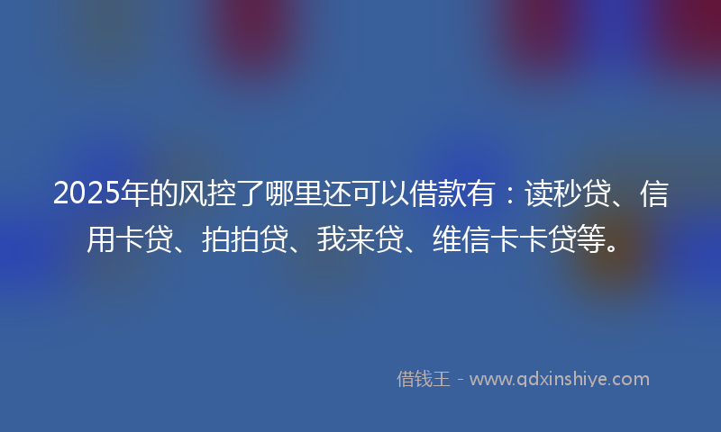 2025年的风控了哪里还可以借款有：读秒贷、信用卡贷、拍拍贷、我来贷、维信卡卡贷等。