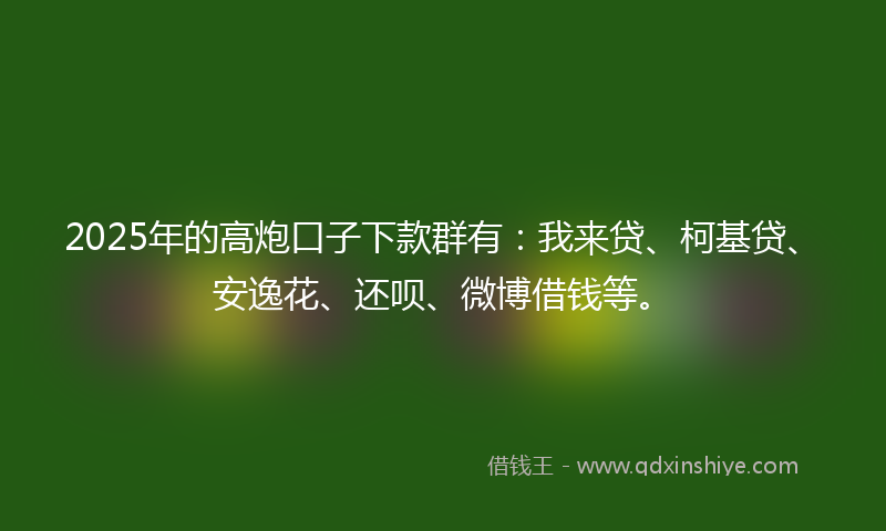 2025年的高炮口子下款群有：我来贷、柯基贷、安逸花、还呗、微博借钱等。