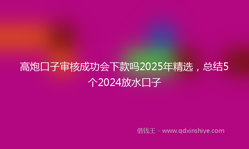高炮口子审核成功会下款吗2025年精选，总结5个2024放水口子