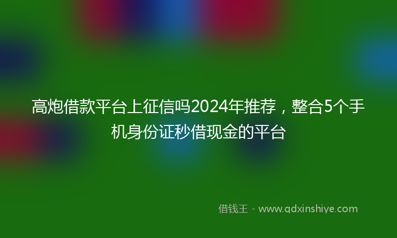 高炮借款平台上征信吗2024年推荐，整合5个手机身份证秒借现金的平台