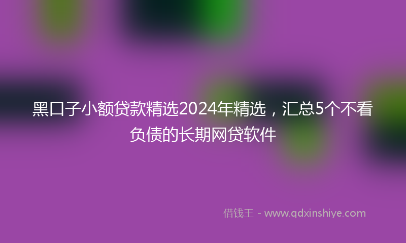 黑口子小额贷款精选2024年精选，汇总5个不看负债的长期网贷软件