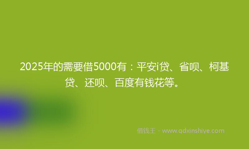 2025年的需要借5000有：平安i贷、省呗、柯基贷、还呗、百度有钱花等。