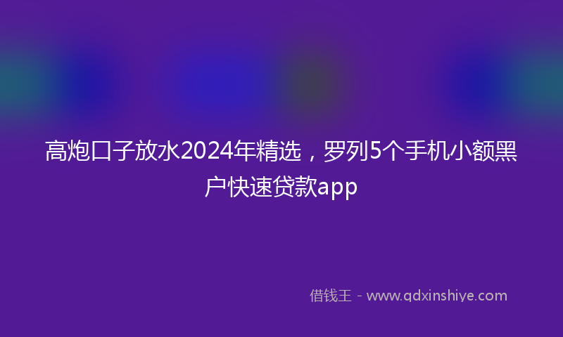 高炮口子放水2024年精选，罗列5个手机小额黑户快速贷款app