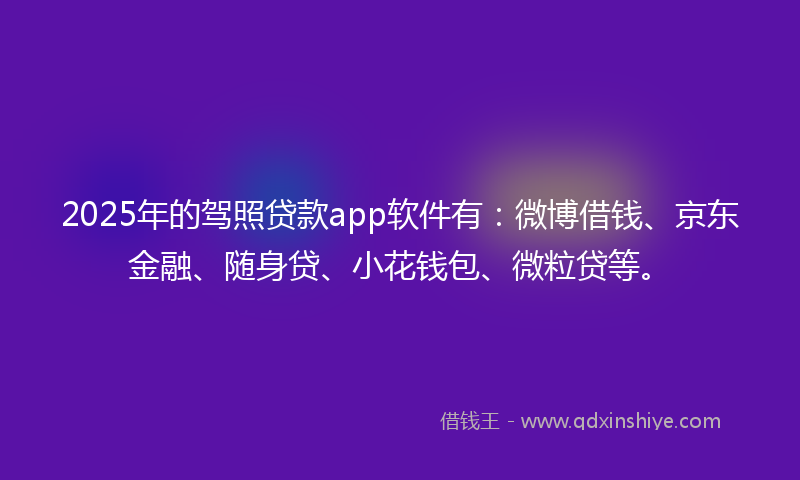 2025年的驾照贷款app软件有：微博借钱、京东金融、随身贷、小花钱包、微粒贷等。