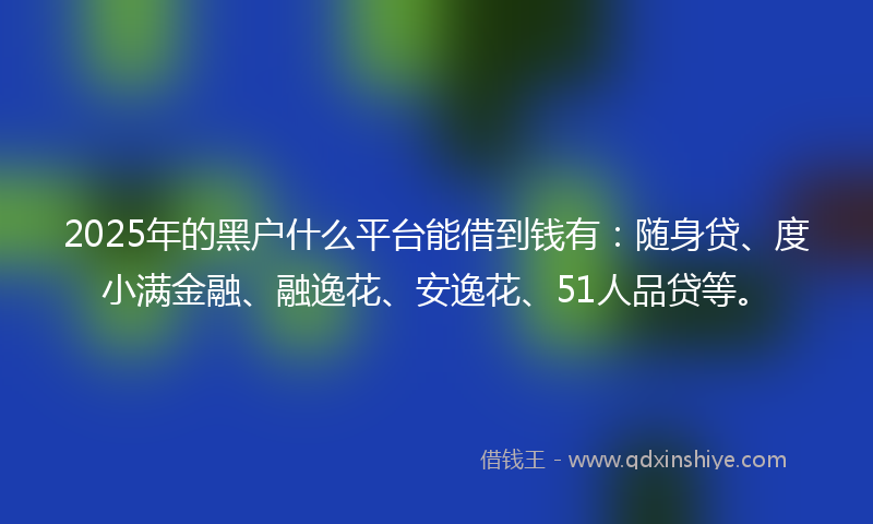 2025年的黑户什么平台能借到钱有：随身贷、度小满金融、融逸花、安逸花、51人品贷等。