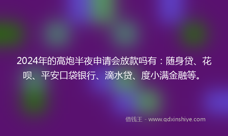 2024年的高炮半夜申请会放款吗有：随身贷、花呗、平安口袋银行、滴水贷、度小满金融等。