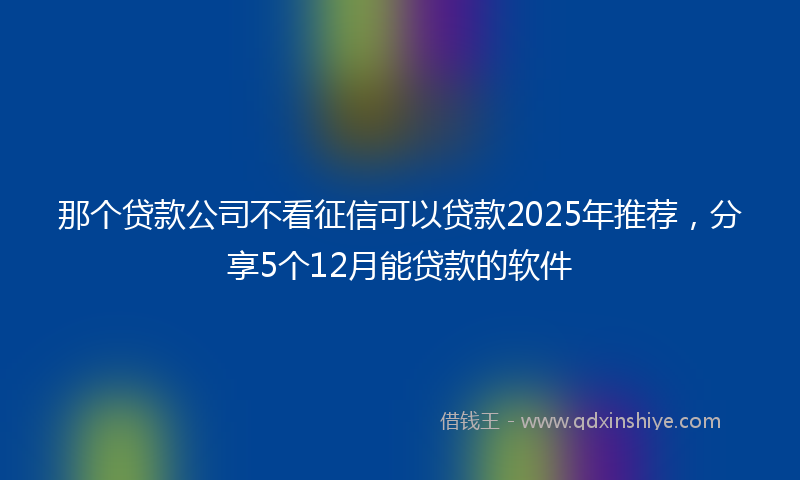 那个贷款公司不看征信可以贷款2025年推荐，分享5个12月能贷款的软件