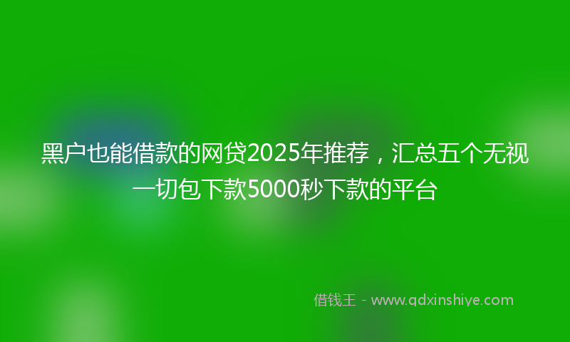 黑户也能借款的网贷2025年推荐，汇总五个无视一切包下款5000秒下款的平台