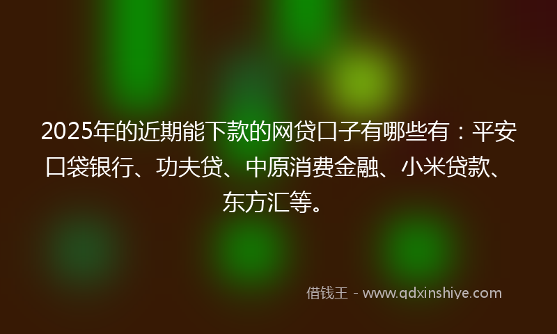 2025年的近期能下款的网贷口子有哪些有：平安口袋银行、功夫贷、中原消费金融、小米贷款、东方汇等。