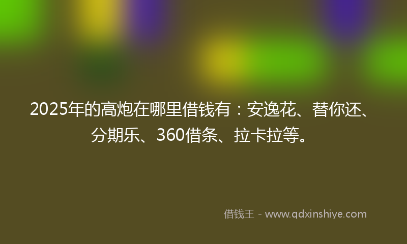 2025年的高炮在哪里借钱有：安逸花、替你还、分期乐、360借条、拉卡拉等。