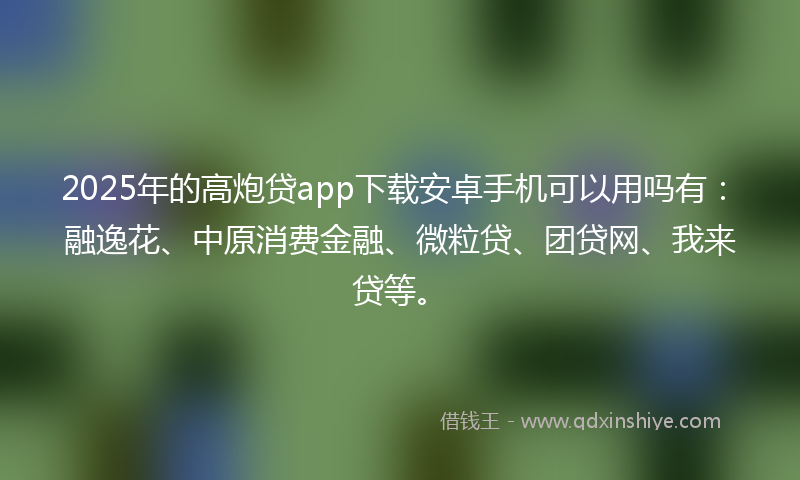2025年的高炮贷app下载安卓手机可以用吗有：融逸花、中原消费金融、微粒贷、团贷网、我来贷等。