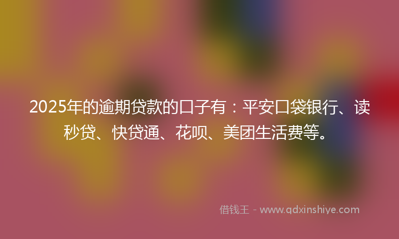 2025年的逾期贷款的口子有：平安口袋银行、读秒贷、快贷通、花呗、美团生活费等。