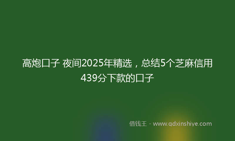 高炮口子 夜间2025年精选，总结5个芝麻信用439分下款的口子