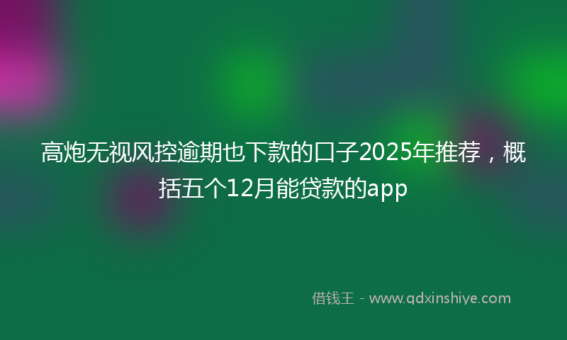 高炮无视风控逾期也下款的口子2025年推荐，概括五个12月能贷款的app