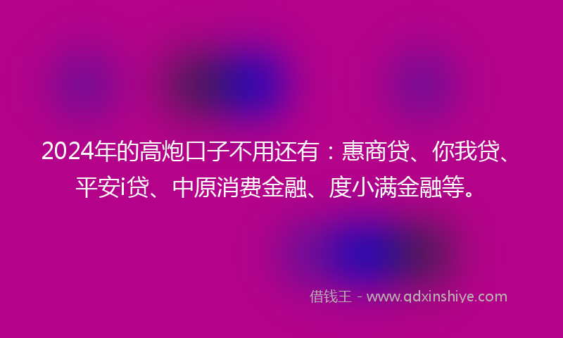 2024年的高炮口子不用还有：惠商贷、你我贷、平安i贷、中原消费金融、度小满金融等。