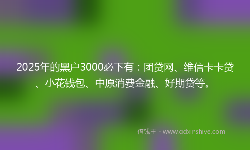 2025年的黑户3000必下有：团贷网、维信卡卡贷、小花钱包、中原消费金融、好期贷等。