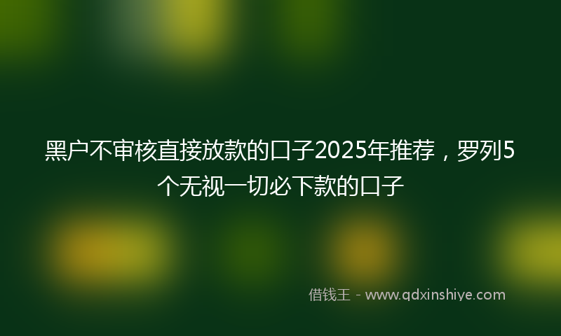 黑户不审核直接放款的口子2025年推荐，罗列5个无视一切必下款的口子