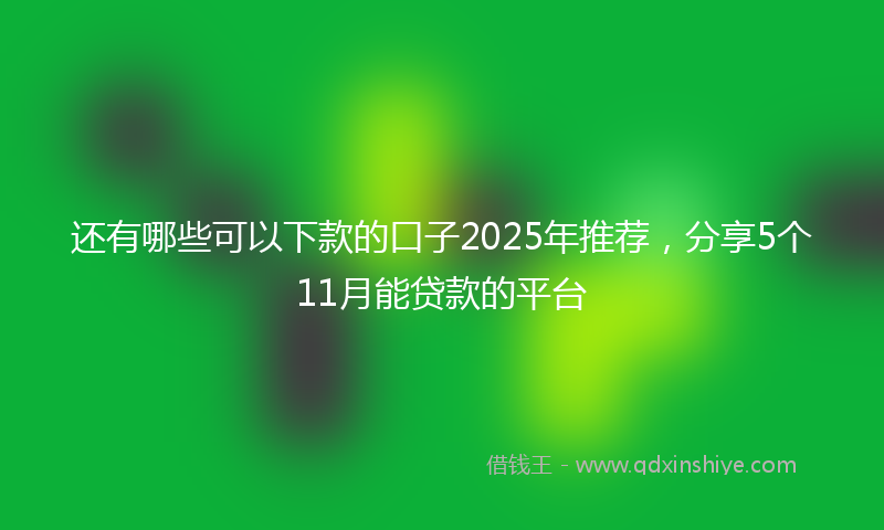 还有哪些可以下款的口子2025年推荐，分享5个11月能贷款的平台