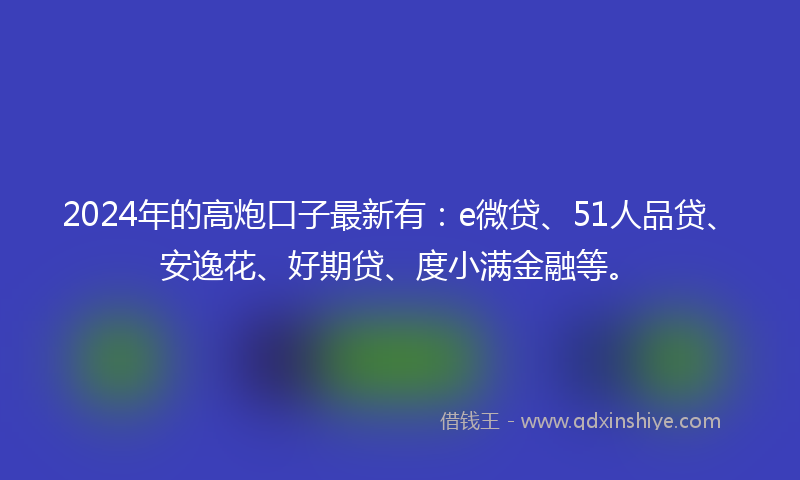 2024年的高炮口子最新有：e微贷、51人品贷、安逸花、好期贷、度小满金融等。