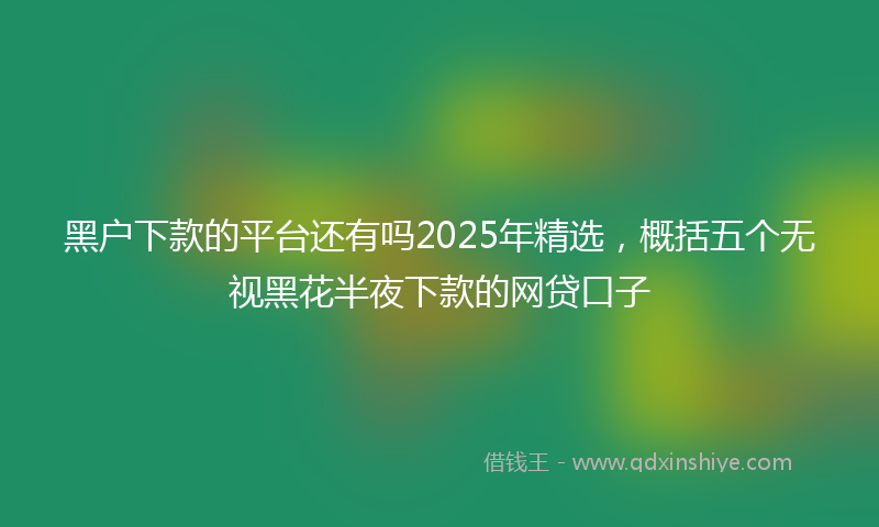 黑户下款的平台还有吗2025年精选，概括五个无视黑花半夜下款的网贷口子