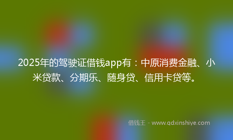 2025年的驾驶证借钱app有：中原消费金融、小米贷款、分期乐、随身贷、信用卡贷等。