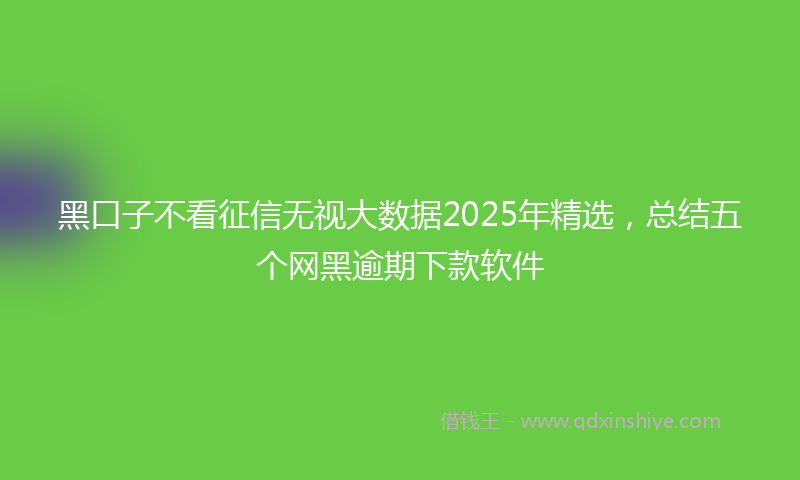 黑口子不看征信无视大数据2025年精选，总结五个网黑逾期下款软件