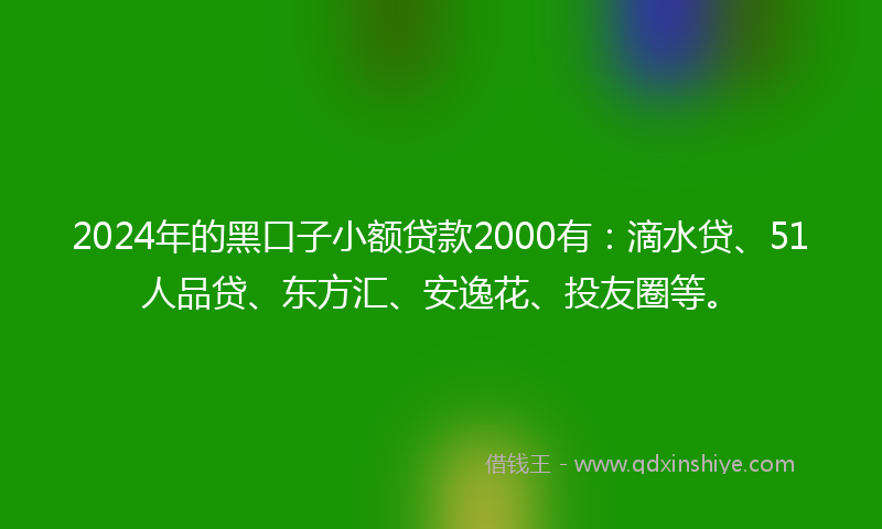 2024年的黑口子小额贷款2000有：滴水贷、51人品贷、东方汇、安逸花、投友圈等。